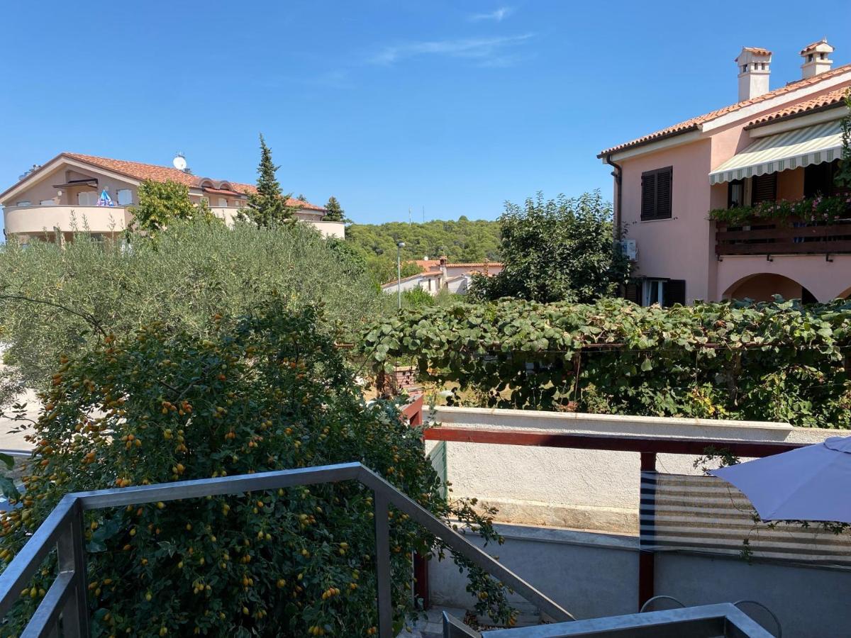 Apartment Casa Rosa